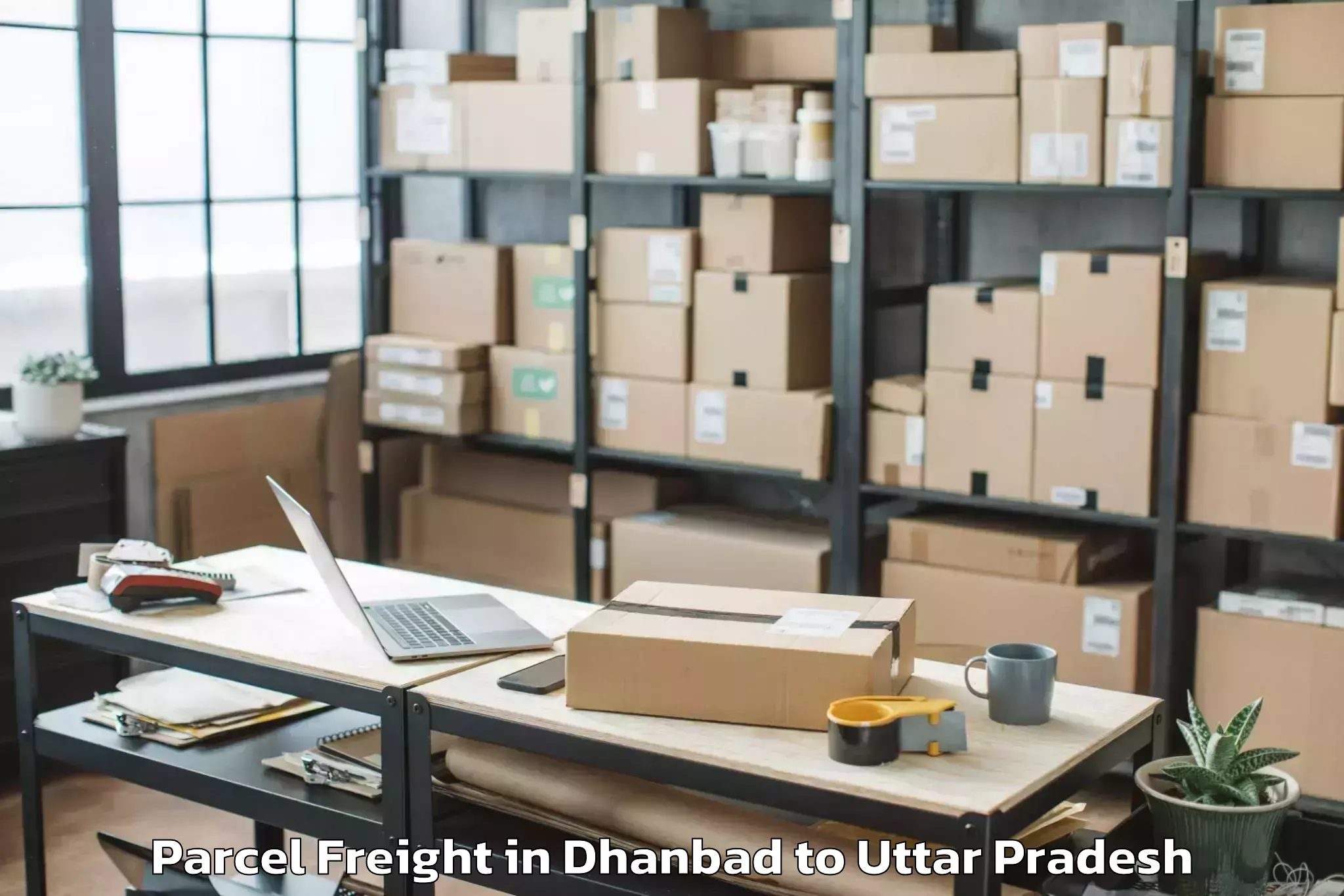 Hassle-Free Dhanbad to Ujhani Parcel Freight